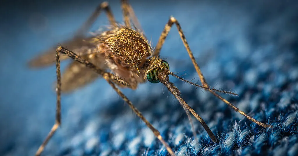 How to install the MQTT Mosquitto broker locally on your digital picture frame’s Raspberry Pi