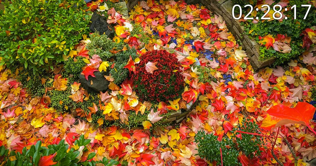 How to show date and time on your digital picture frame