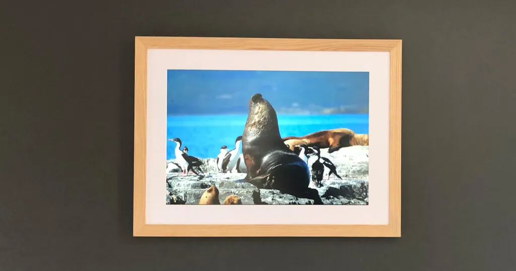How Rob built a superslim 32-inch 4K digital picture frame based on the BenQ PD3200 and the Raspberry Pi 4