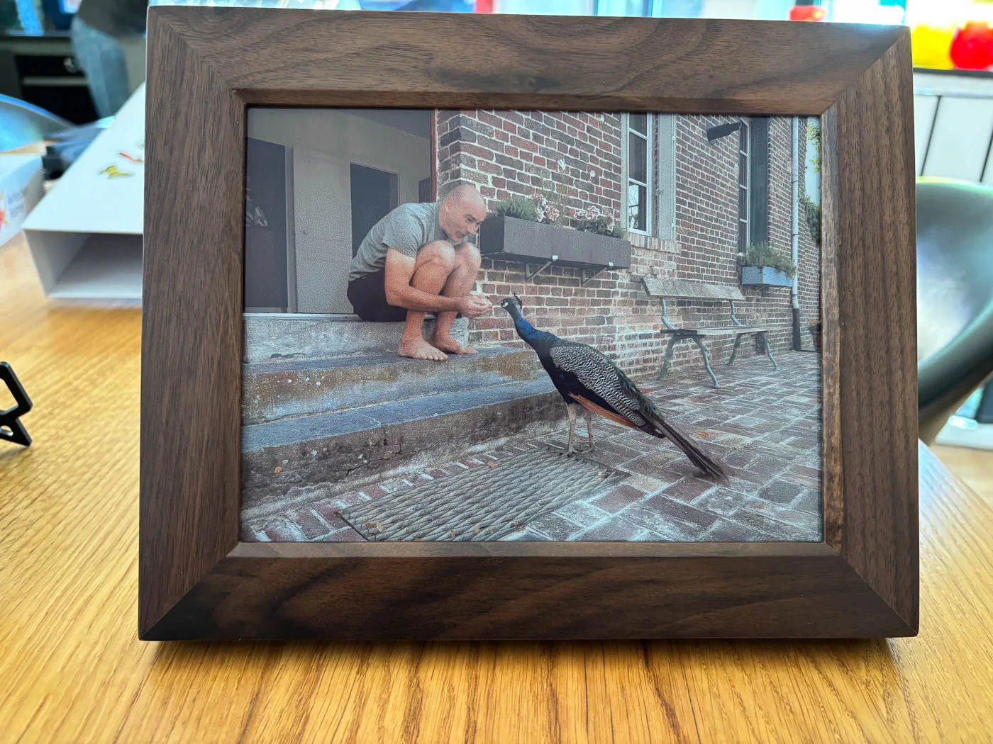 The walnut Reflection Frame after the picture change, showing the finished photo