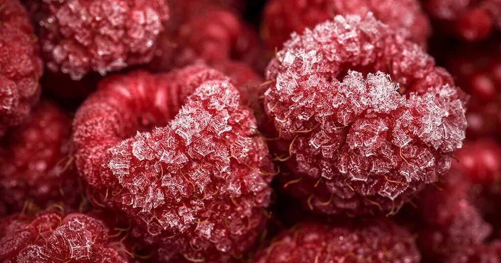 Why the Raspberry Pi is the best choice for your digital picture frame project